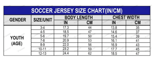 (SHIRT + PANT) (FREE CUSTOM) FOR JUNIOR ARSENAL FC 23/24 HOME SHIRT REPLICA - Image 6