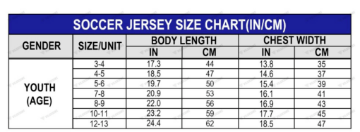 (SHIRT + PANT) (FREE CUSTOM) FOR JUNIOR ARSENAL FC 23/24 AWAY REPLICA - Image 5