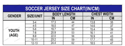 (SHIRT + PANT) (FREE CUSTOM) FOR JUNIOR ARSENAL FC 23/24 THIRD REPLICA - Image 4
